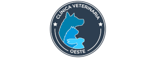 Logo Centro